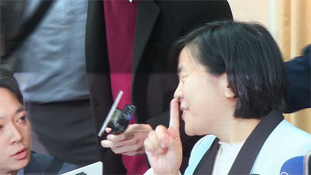 李貞秀國籍問題惹爭議　立院朝野協商「身分認定」