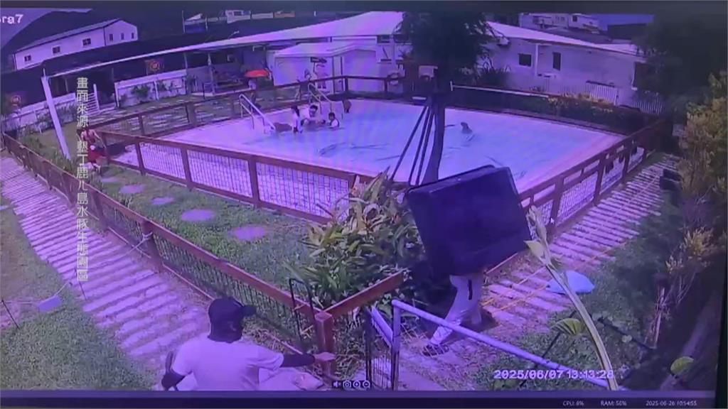 墾丁人氣「水豚夫妻」疑遭毒殺 胃內檢驗出2化學物質