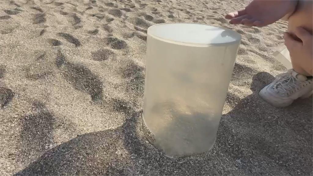 夜間活動帶房客「抓寄居蟹、沙蟹」挨轟 墾丁飯店業者致歉