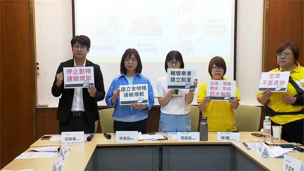 不只安鼠之亂還有運鼠之亂　動保團體揭露「動物運輸地獄」