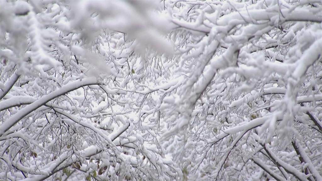 首爾降雪量破6年來紀錄 釀1死、當局發布二級警戒