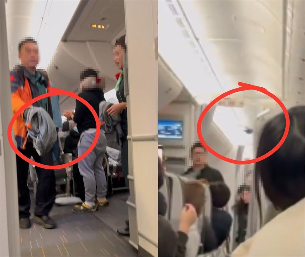 小黑鳥「失控闖機艙」掀202萬人搶看!大逃竄畫面曝網笑:想搭順風車