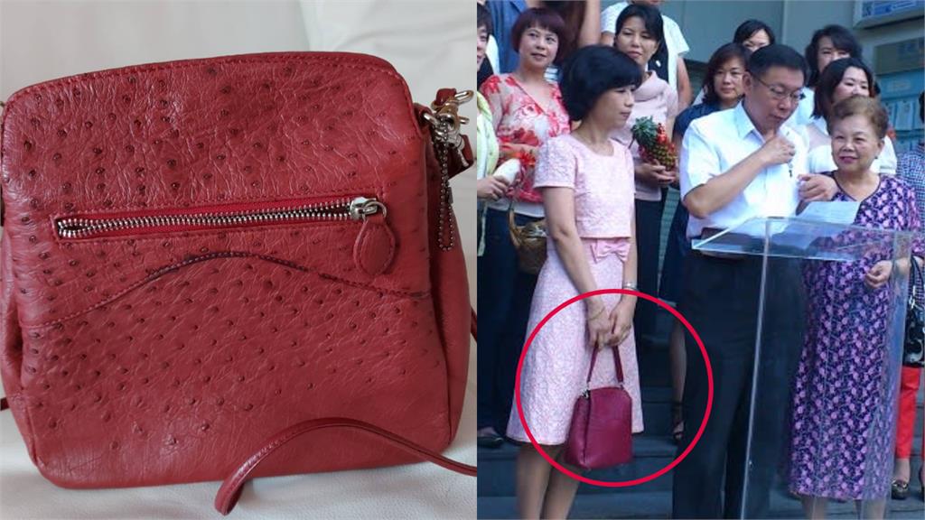 柯家搜出「1款包」遭疑這麼有錢？陳佩琪驚吐「標15萬」內幕：我喜歡鱷魚紋路