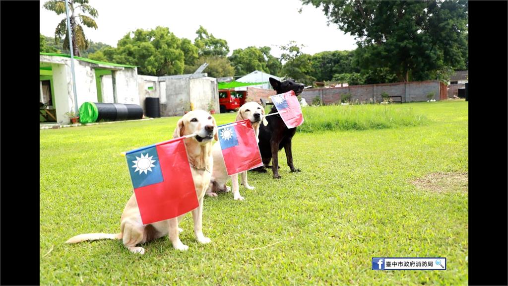 台中「汪英雄」飛土耳其救災　擁國際搜救犬組織最高級認證