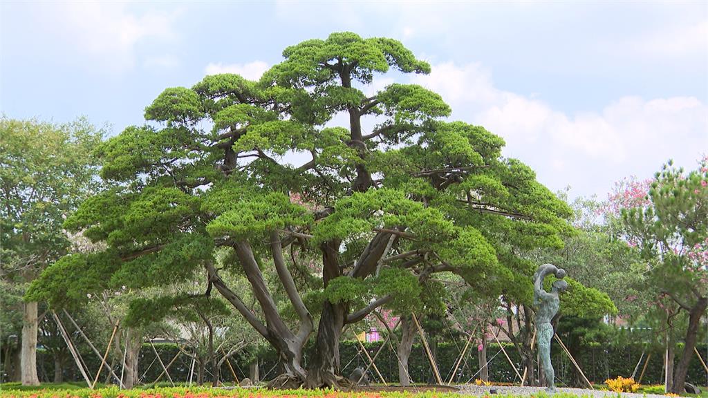 環保綠建築成時代趨勢　　南彰化「苗木之鄉」搶攻市場