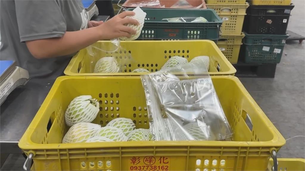 「芭樂太好吃」爆紅！　屏東青農楊忠憲現身回應