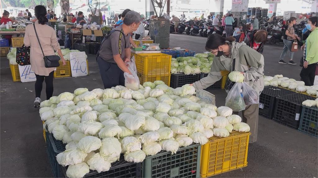 菜好貴！1顆高麗菜210元！　1把蔥飆至70元　台南議員憂學生營養午餐吃不起