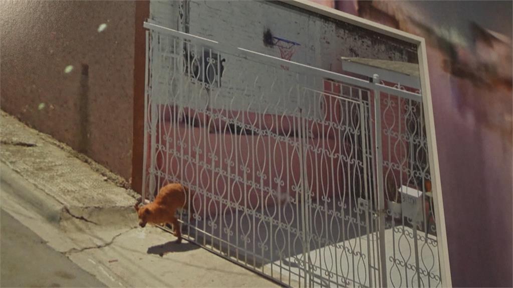 加拿大藝術家蒐集「Google街景照」設展　丹麥博物館也能「環遊世界」