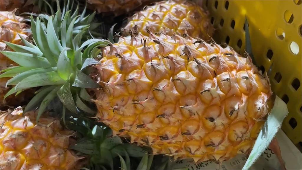 金鑽之後 中國又偷「芒果鳳梨」品種 號稱海南島種得比台灣多