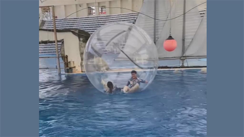 真人版倉鼠球！海豚訓練師邀女友水上漫遊　下秒慘跌狂滾笑翻網