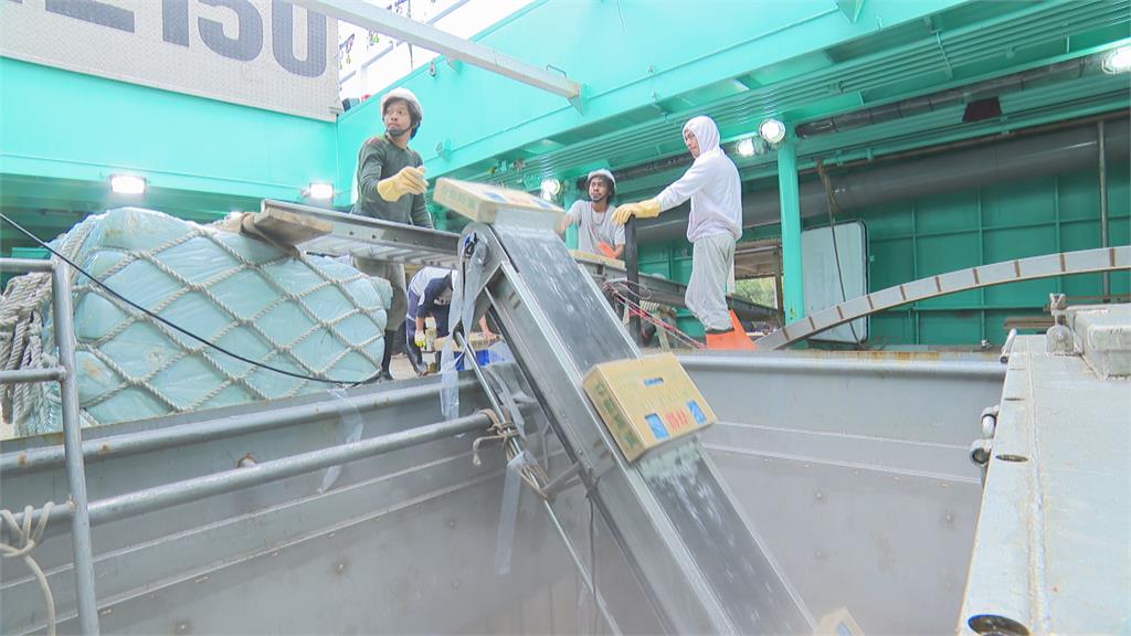 花81億整建卻成政治攻防 台灣最大漁港前鎮漁港現況