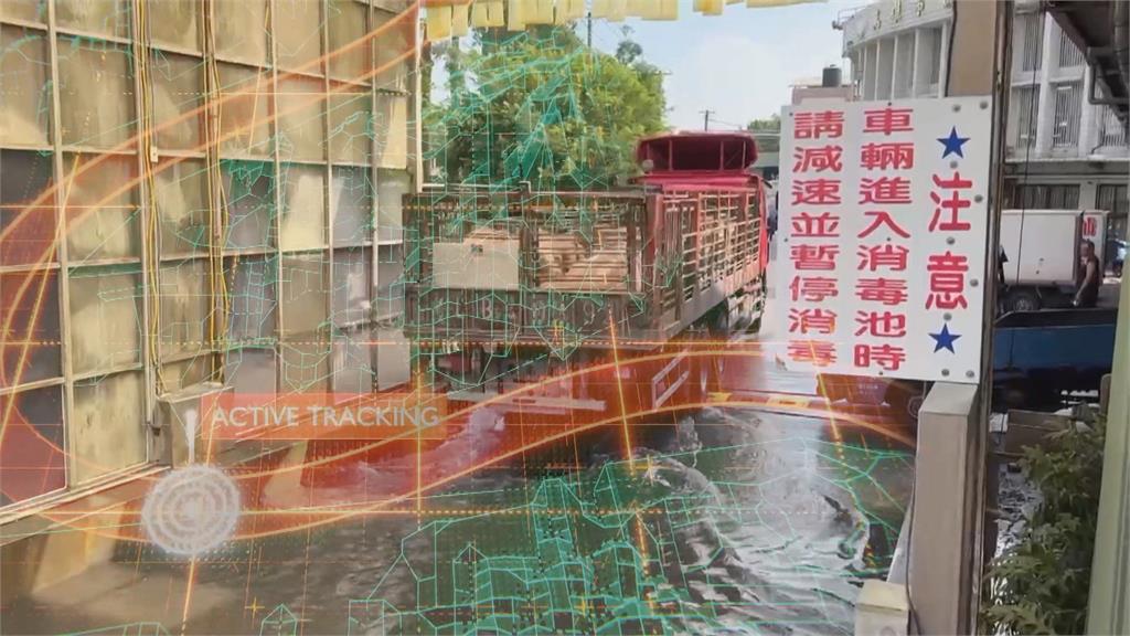 異言堂/西班牙也爆非洲豬瘟!台灣成功守下疫情 專家:全球唯一