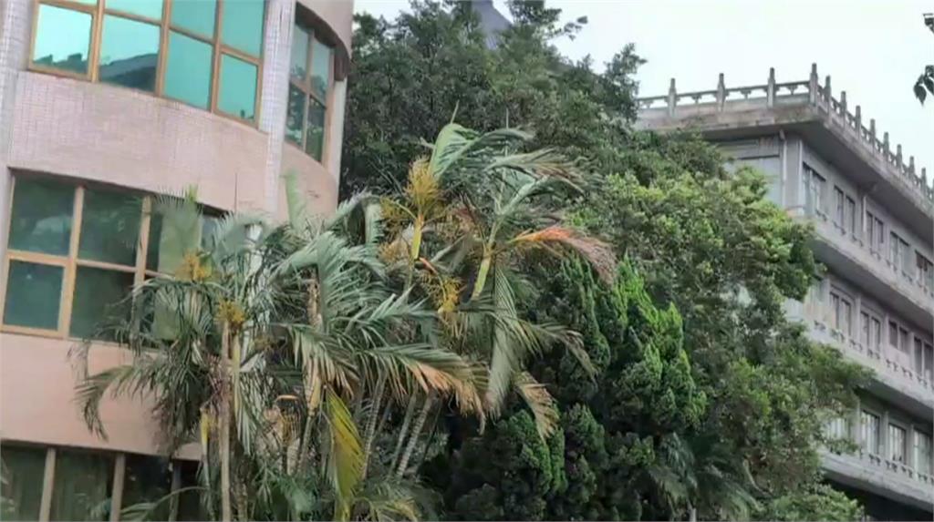 陽明山風雨增強！　文化大學今改遠距教學