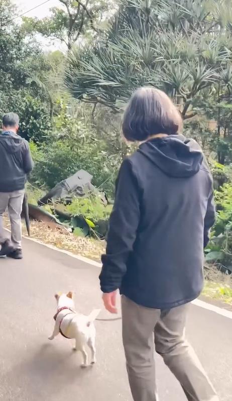 快新聞/蔡英文帶樂樂、鳳梨妹上山走春 手做肉乾太美味吸引15隻狗友歡迎