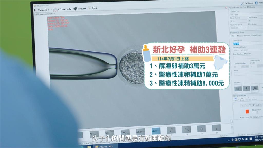 新北催生!新北推凍卵、凍精補助 首創「解凍卵」補助3萬