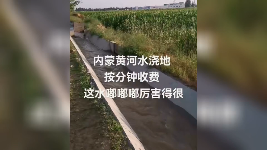 中東農民用黃河水要付費　中國網諷刺：這就是自然經濟