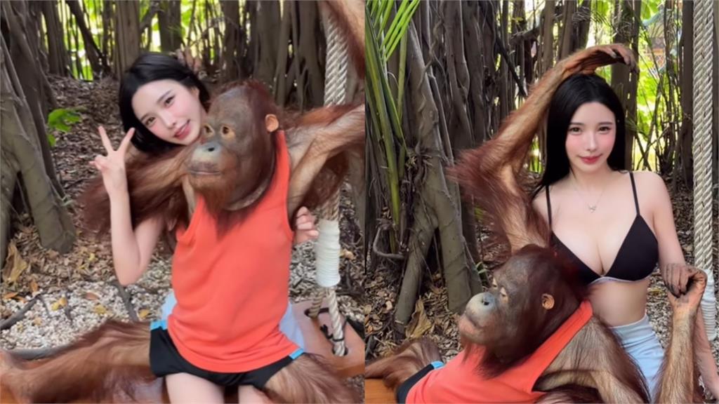 大馬最辣DJ遊動物園遭「襲胸+強吻」!她羞喊:技術有他厲害嗎?