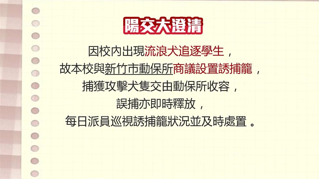 捕獸籠有貓屍 學生控虐待動物 陽交大校方:調監視器釐清