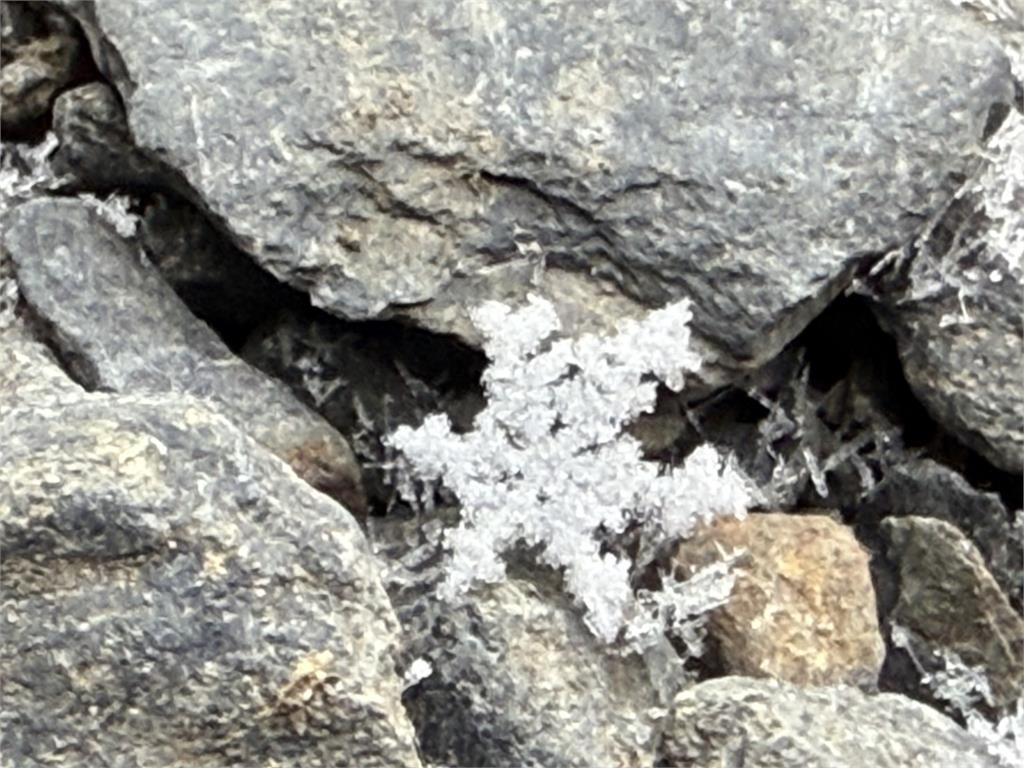 快新聞/玉山也下雪了!白色雪花飄落如仙境 絕美畫面曝