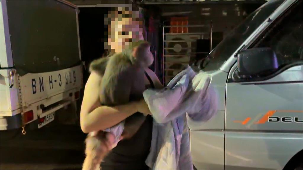 高雄民宅惡火!女屋主抱「寵物猴」逃生 勇消救出1狗
