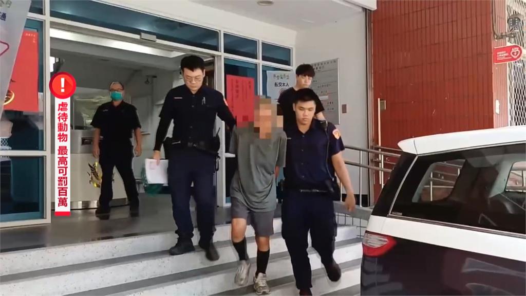 殘忍!街友碼頭偷狗後虐殺 再度下手偷貓被民眾發現攔阻