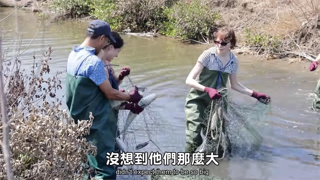 台南玩什麼？下水體驗捕魚、挖蛤蜊　外國人驚呼：網路上沒這些行程　