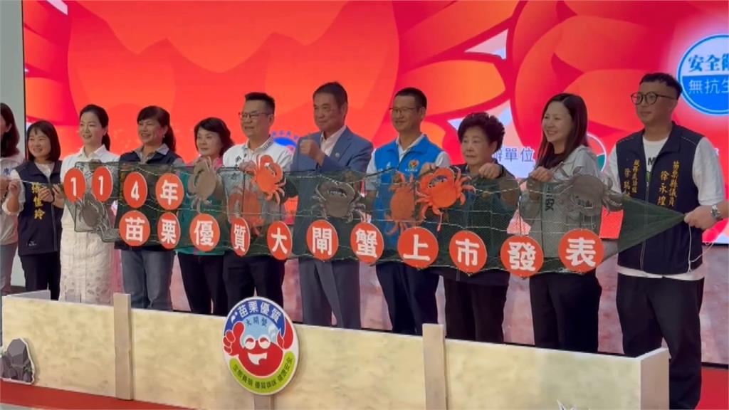 秋蟹來了！　苗栗大閘蟹上市　掃QR　Code　可溯源
