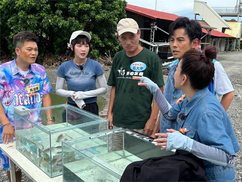 體驗養殖辛苦頂著超級大雨搶收!藝人全身濕透透站在蝦塭池