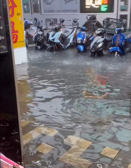 大雨沖出萬隻小強！西門町驚見「咖色蟑螂海」網轟蔣萬安：台北鍋底是蟑螂嗎