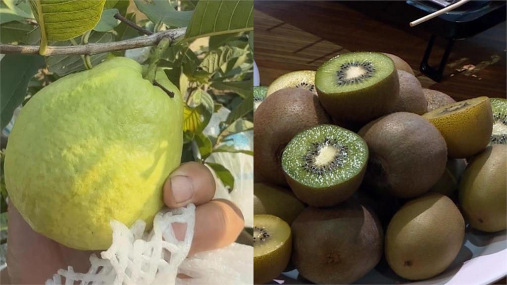 飯後吃水果助消化卻「越吃越肥」?營養師授「3招」吃對時間很重要!