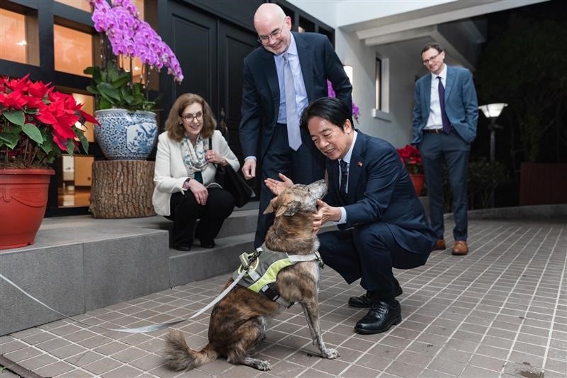 快新聞／賴清德擼狗日常曝光！與「斑斑」溫馨互動　谷立言現身官邸共慶新年