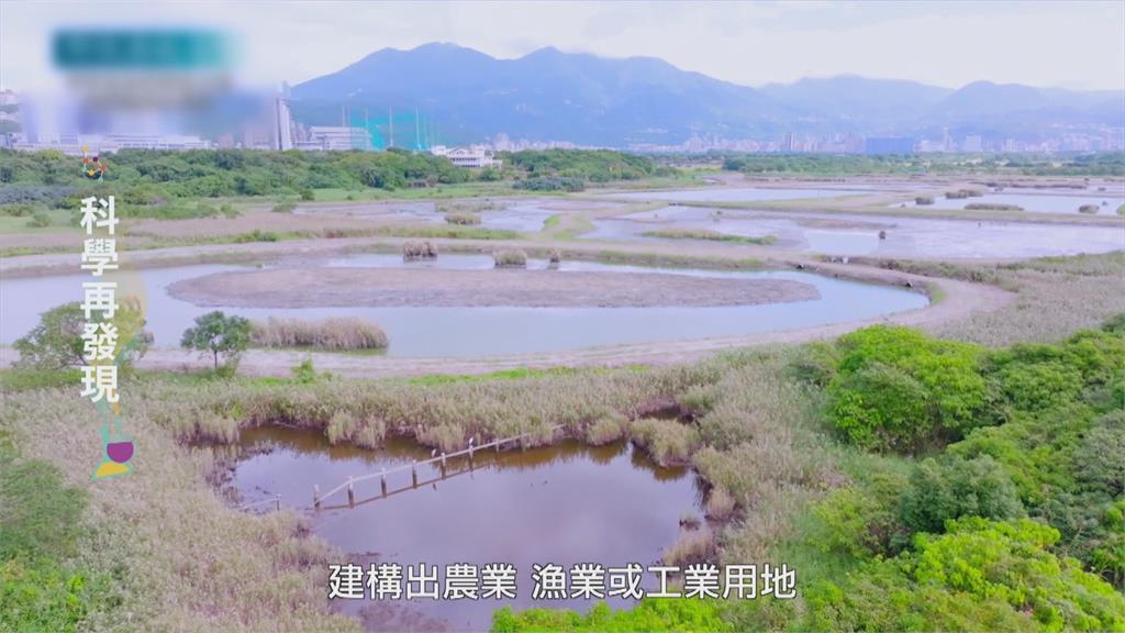 濕地生態豐富　教育成為保育關鍵
