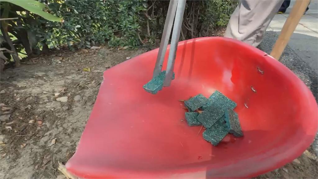 台南豐興公園遭投放大量老鼠藥 滅鼠超前佈署?恐貓犬誤食派員清除
