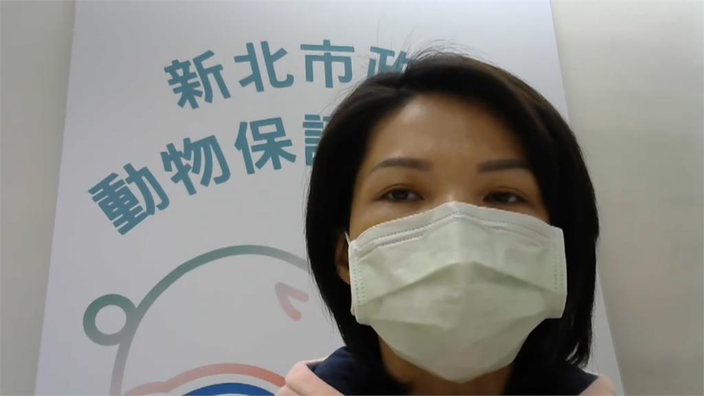 小橘貓遭棄排水溝險死 狠心飼主挨罰4.5萬