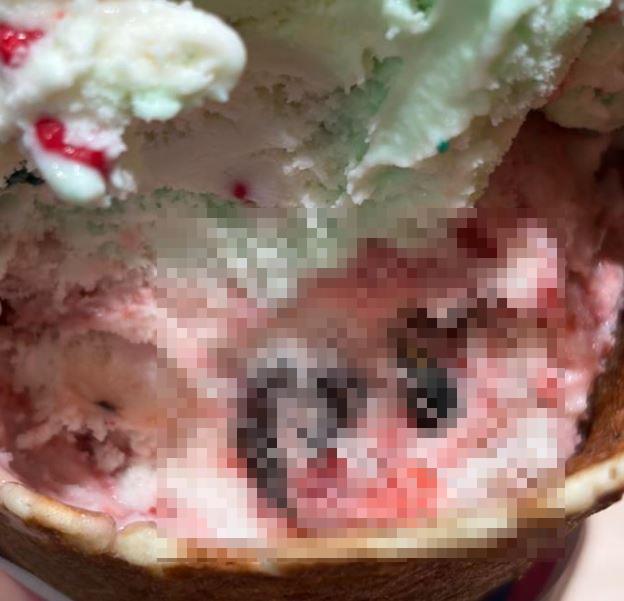 快新聞／真的會吐！中山誠品冰淇淋驚傳「內含多隻碩大蟲蟲」　噁心畫面曝光