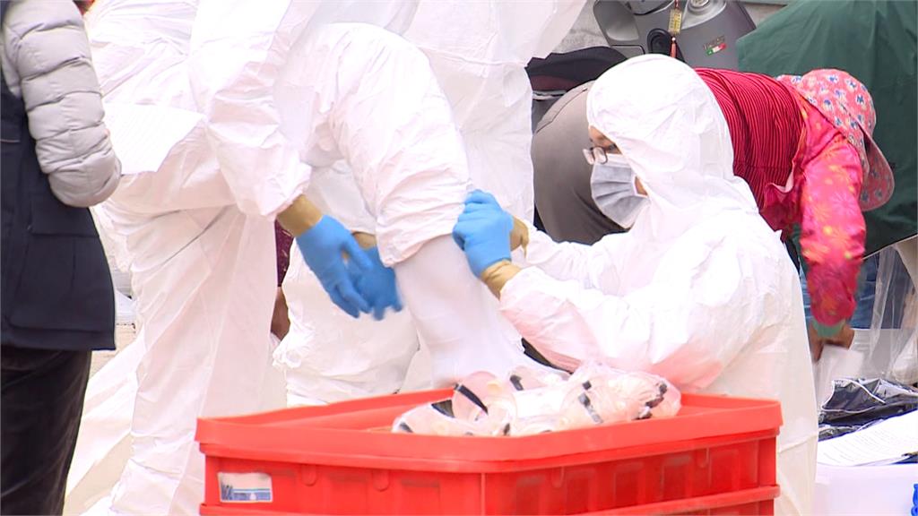 台中業者隱匿禽流感「雞屍偷丟苗栗」　盧秀燕：最重裁罰100萬元