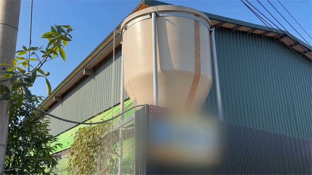 豐原蛋雞場＂1700雞詭死＂ 盧秀燕證實：禽流感陽性