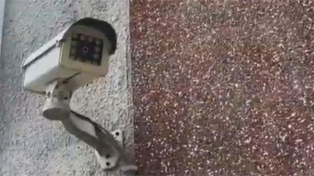 檢舉狂魔「24H猛拍鄰居違規」！法院見1幕「45張罰單全撤銷」原因曝光