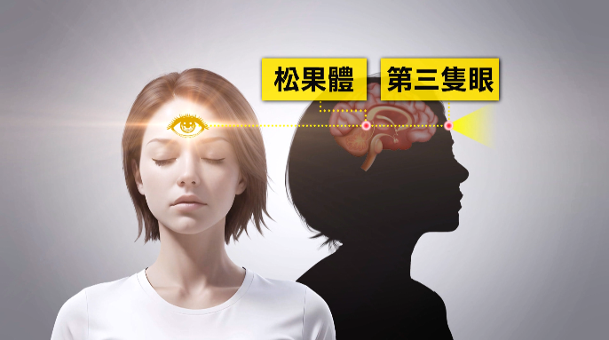 【台灣演義】揭秘通靈人 大腦松果體是「第三隻眼」 ?