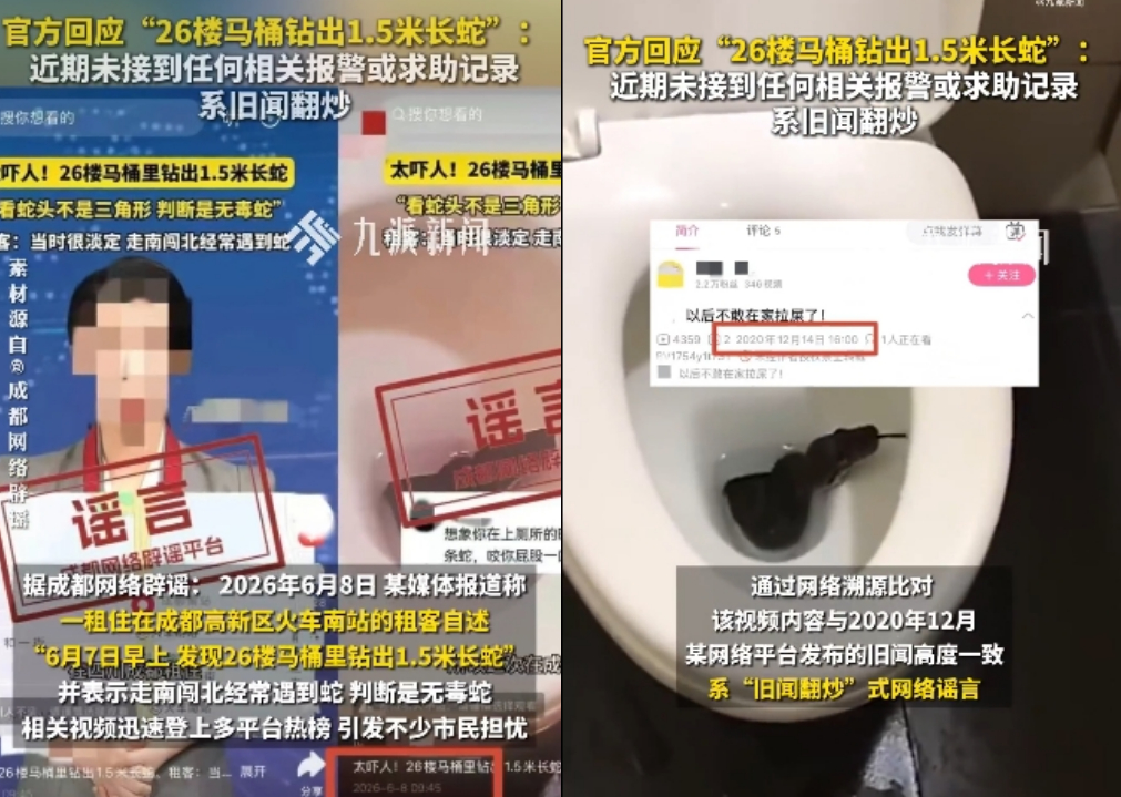 驚悚片瘋傳！26樓租客驚見「馬桶冒出1.5公尺巨蛇」還四目相對…結局超反轉