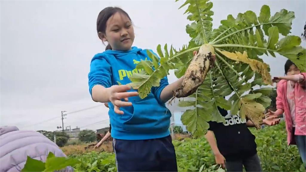 畢旅的錢自己賺!竹安國小「種蘿蔔」學生笑開懷