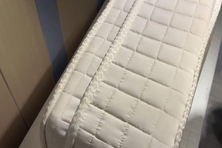 北車商旅驚見「床蝨」鑽包包！　業者急滅火：丟寢具、全面清消