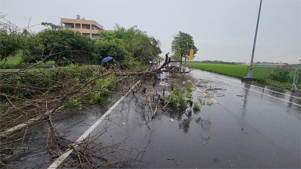 彰化樹倒砸死郵差　二審判公路局「再多賠30萬」