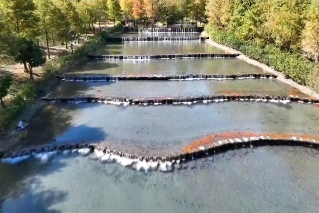 宜蘭夢幻仙境「三層坪」封閉3年終開放　民眾瘋狂搶預約全額滿