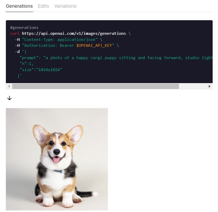 文字轉圖像浪潮襲來　網路小編大敵！OpenAI、Google搶進投資AI新創
