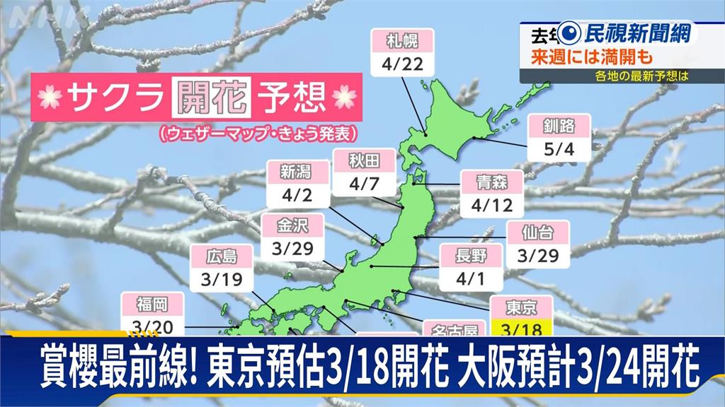 日本高知、岐阜櫻花綻放 茨城千株桃花舞春風