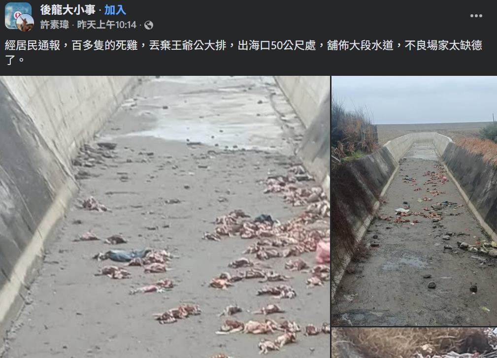 快新聞/苗栗後龍死雞一片!被棄置出海口 動保所急送驗禽流感、追查來源