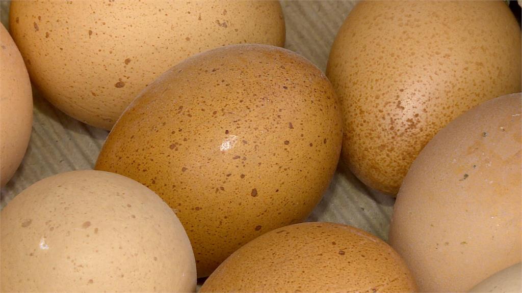 過年休市雞蛋供過於求　蛋商公會：週六蛋價降３元