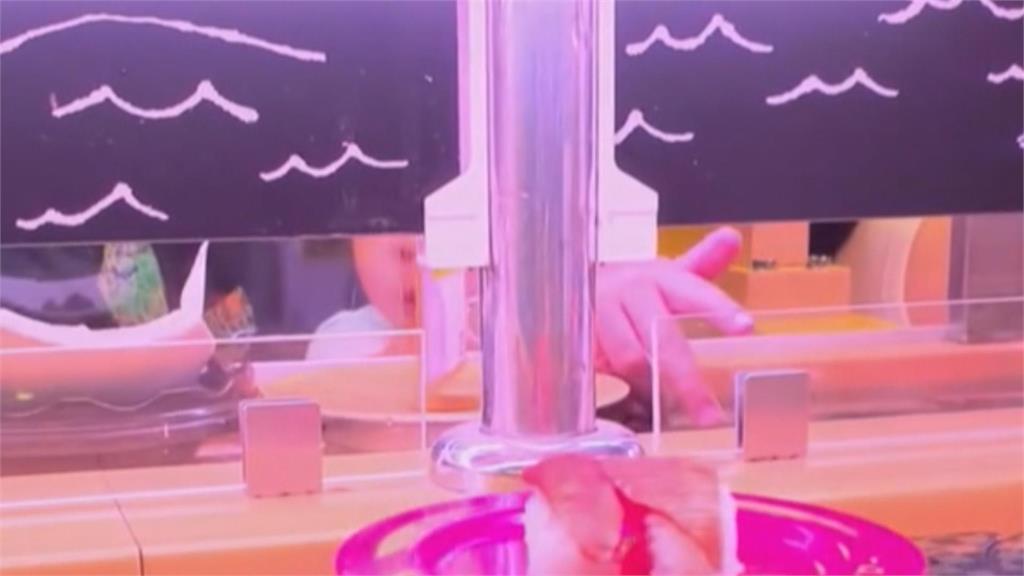 迴轉壽司又遭惡搞 男童狂摸迴轉餐盤畫面全都錄