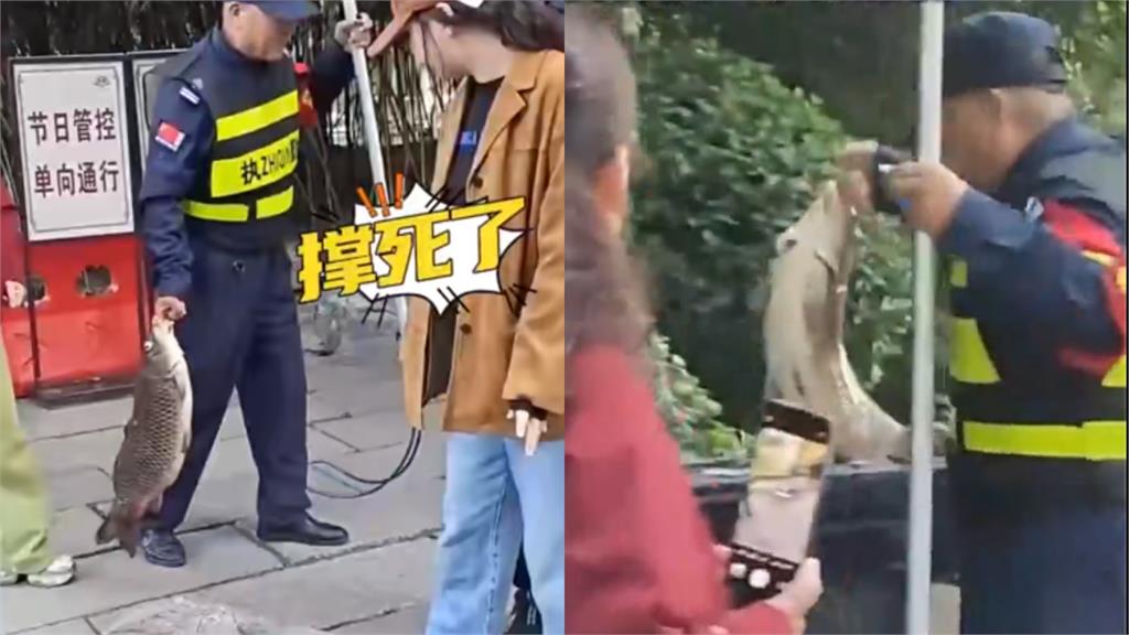被過度餵食「錦鯉⭢豬鯉」 中國伯手拿「罪證」勸阻:死好幾條了!